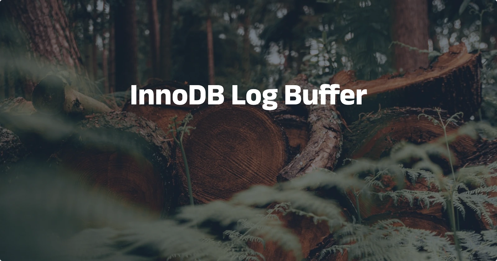 Day62【概念解析】InnoDB Log Buffer