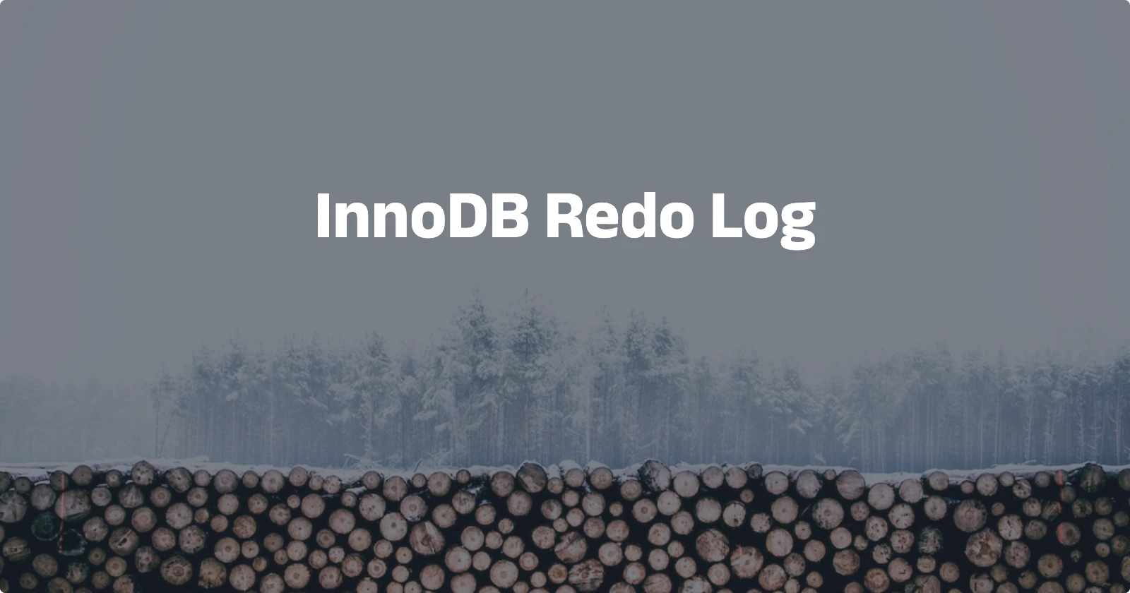 Day63【概念解析】InnoDB Redo Log