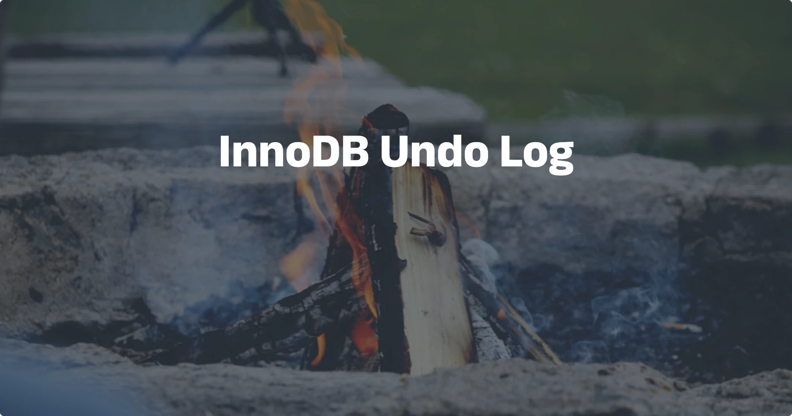 Day64【概念解析】InnoDB Undo Log