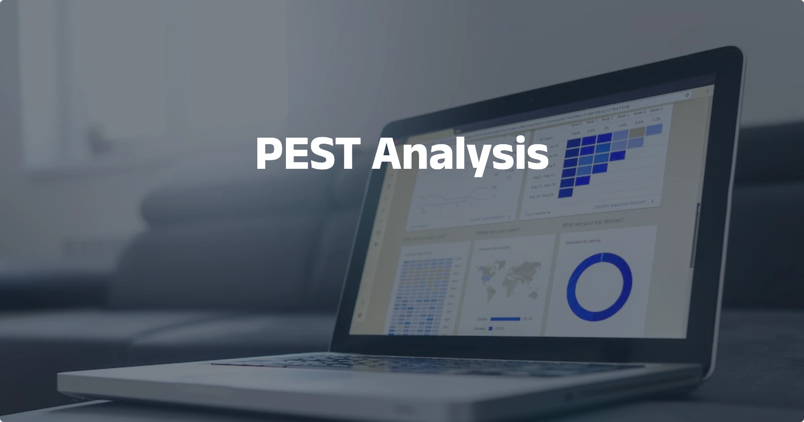 Day96【概念解析】PEST Analysis