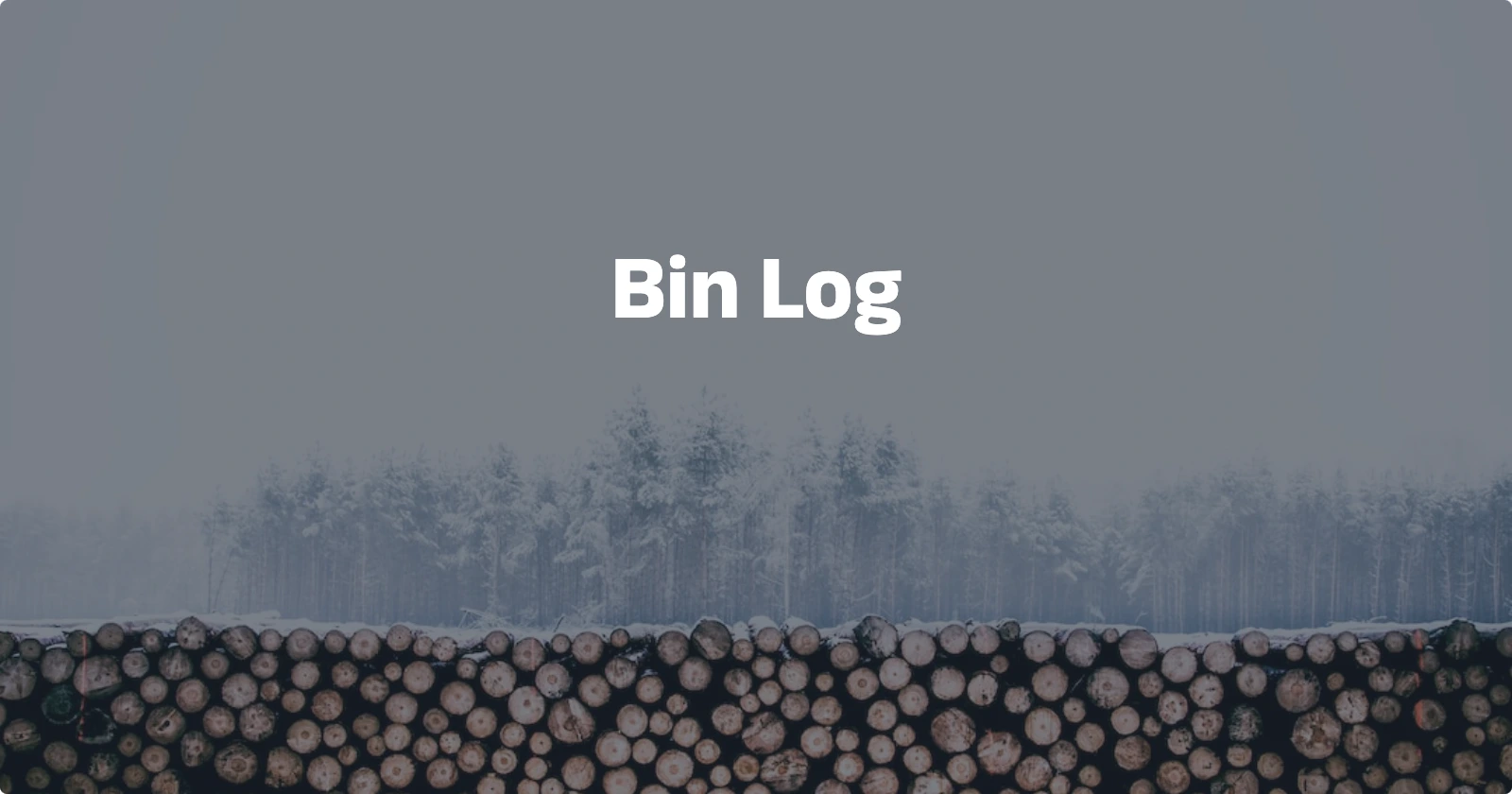 Day98【概念解析】Bin Log