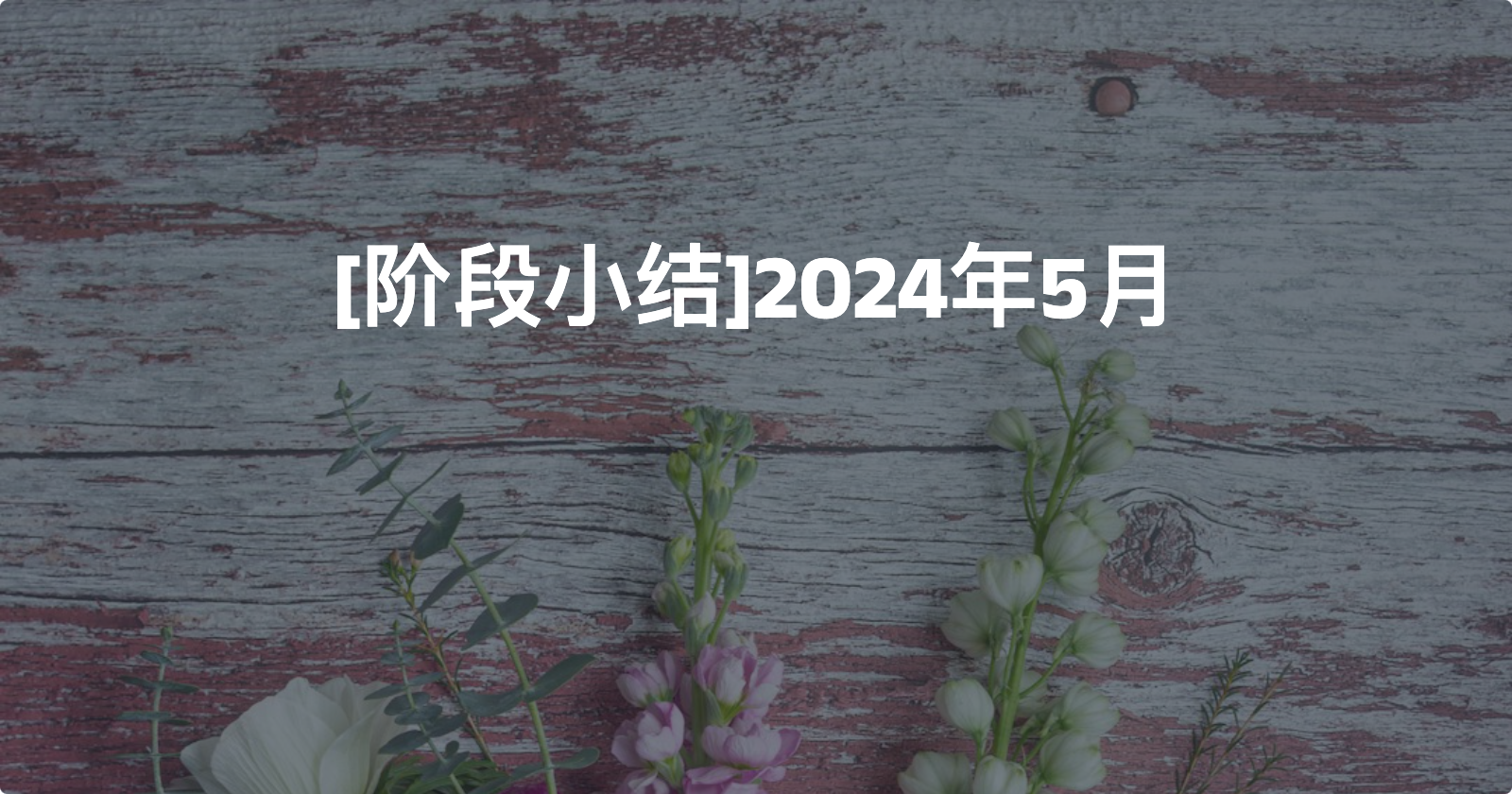 [阶段小结]2024年5月